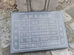 -晋祠公园