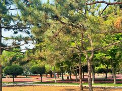 -石家庄市植物园