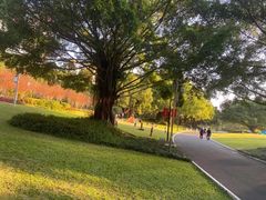 -南宁南湖公园