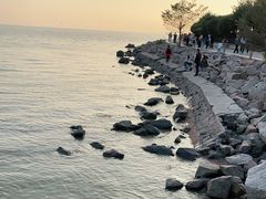 -深圳湾公园(南山区)