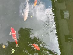 -春风习习