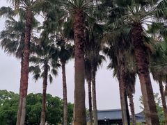 -江心屿景区