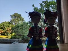 -南宁荔园维景国际酒店·荔园中餐厅