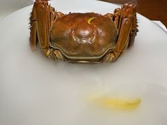 -觀芷隐轩