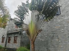 -沙美村