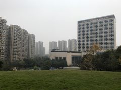 -成都保利公园皇冠假日酒店(熊猫基地店)