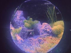 -欢乐海岸海洋奇梦馆