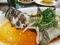 清蒸石斑-雅盛品931海鲜酒家