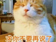 -鉴川·川菜传承(星汇两江店)