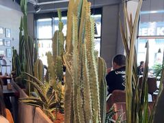 -West10 西拾·西餐厅·创意菜(未来科技城店)