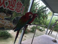 -竹泉村旅游度假区