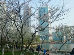 android_upload_pic-西北湖绿化广场