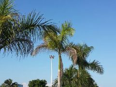android_upload_pic-德宏芒市国际机场