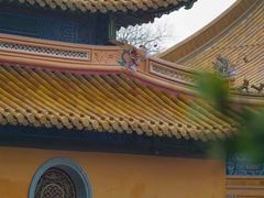 -普陀山风景名胜区-法雨禅寺
