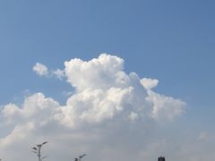 -辛亥革命博物院北区