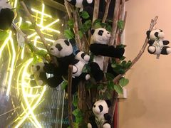 -重庆烤鱼(牛车水店)