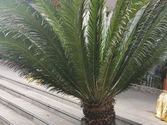 -千岛湖鱼味馆(十字街总店)