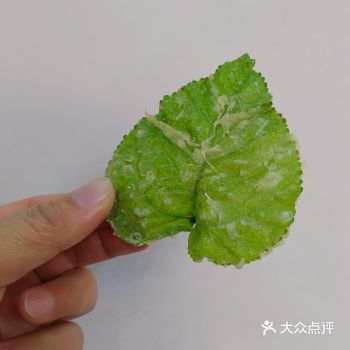 桑叶——这一口早春的美味！