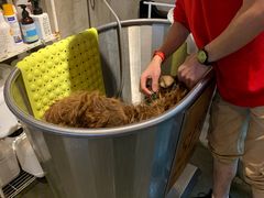 -PETKIT 小佩宠物·低压洗护·美容·寄养(安远店)