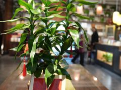 -北京同仁堂郑州药店(金水东路旗舰店)
