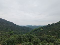 -西湖风景区十里琅珰-五云山