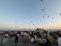 -星海广场