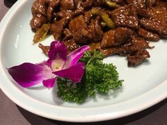 -羲和雅苑•北京烤鸭(平安国际金融中心店)