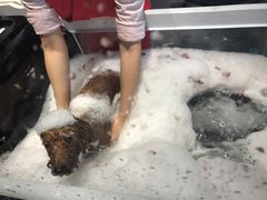 -MOLLY'S萌宠生活馆