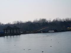 -塘沽森林公园