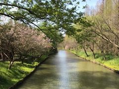 -同里国家湿地公园