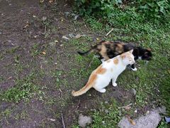 -华山风景名胜区