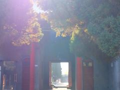 -函谷关历史文化旅游区