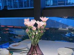 -菉雅苑·湛江菜(前海卓越INTOWN店)