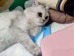 -恒幸动物医院·急重症转诊中心·神经内外科·CT核磁