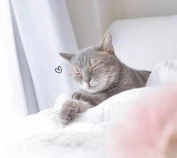 -斐尔国际皮肤管理中心