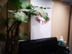 -AFA Hair studio·女士发型设计