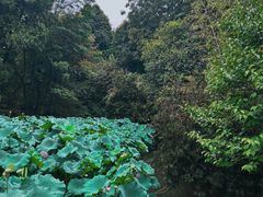 -成都杜甫草堂博物馆