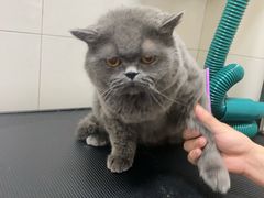 -悠尼宠物·独立低压伊珊娜洗护·美容·寄养(兰谷路店)