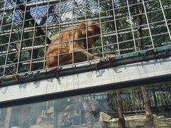 -北京鹿世界主题园