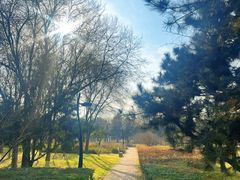-洨河生态公园
