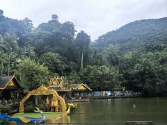 -西双版纳原始森林公园