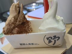 -野人先生现做冰淇淋(西安赛格店)