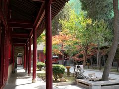 -罔极寺
