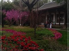 -望江楼公园