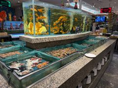 -初色海鲜自助(万丰路店)