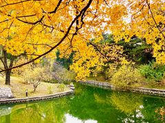 -钓鱼台国宾馆