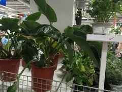 -宜家家居(哈尔滨商场店)