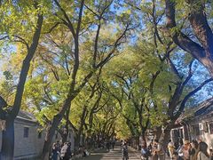 -北京国子监胡同