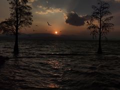 -大理洱海