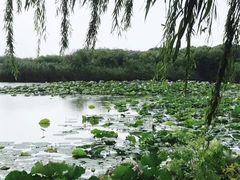 -长圻码头